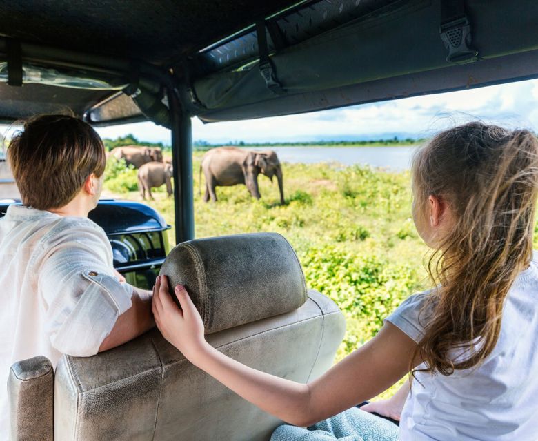 Wildlife Safari - Total Holiday Options