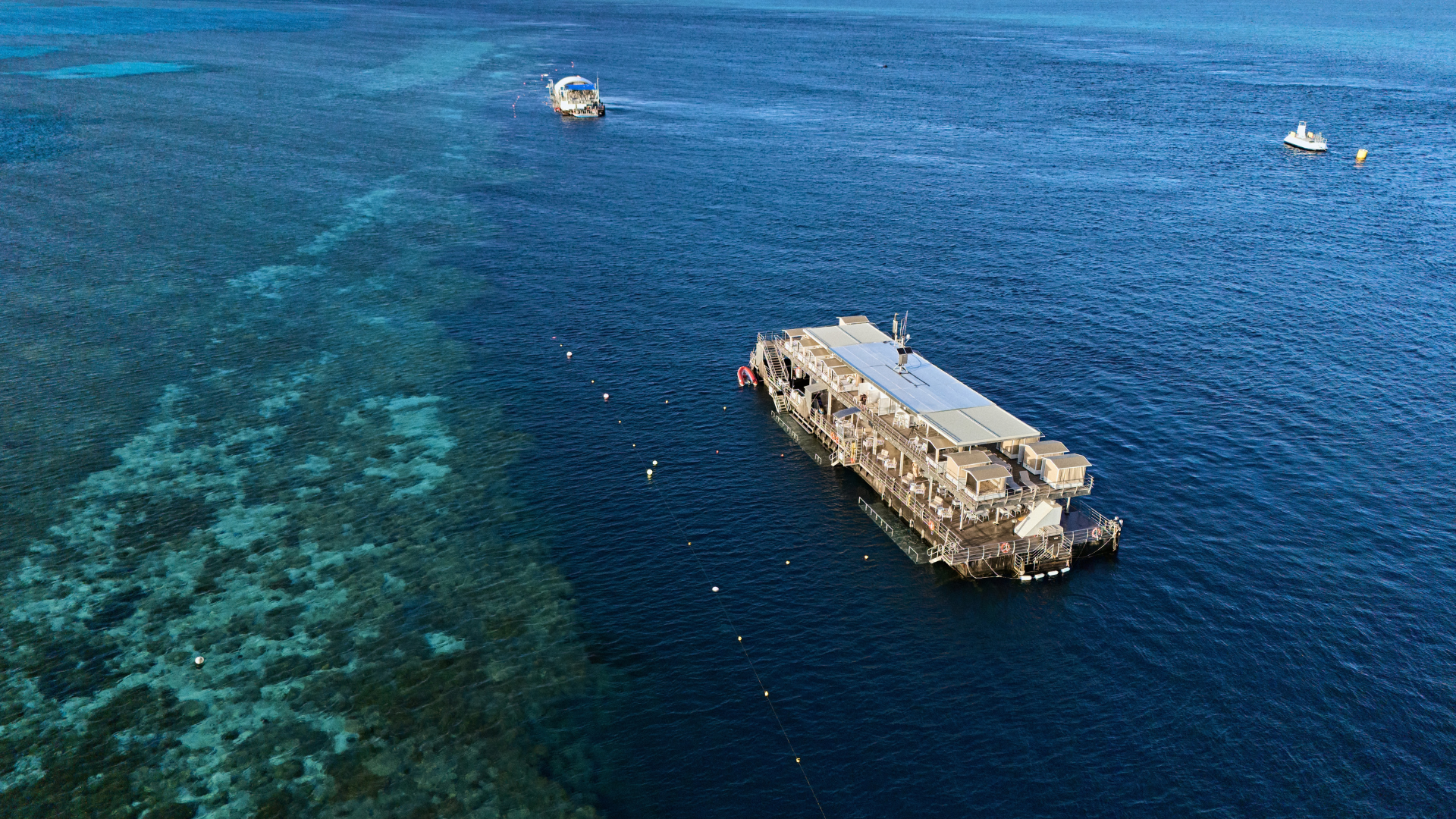 Reef World
