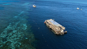 Reef World