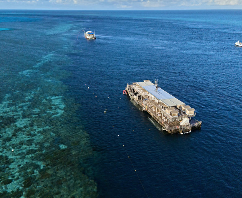 Reef World