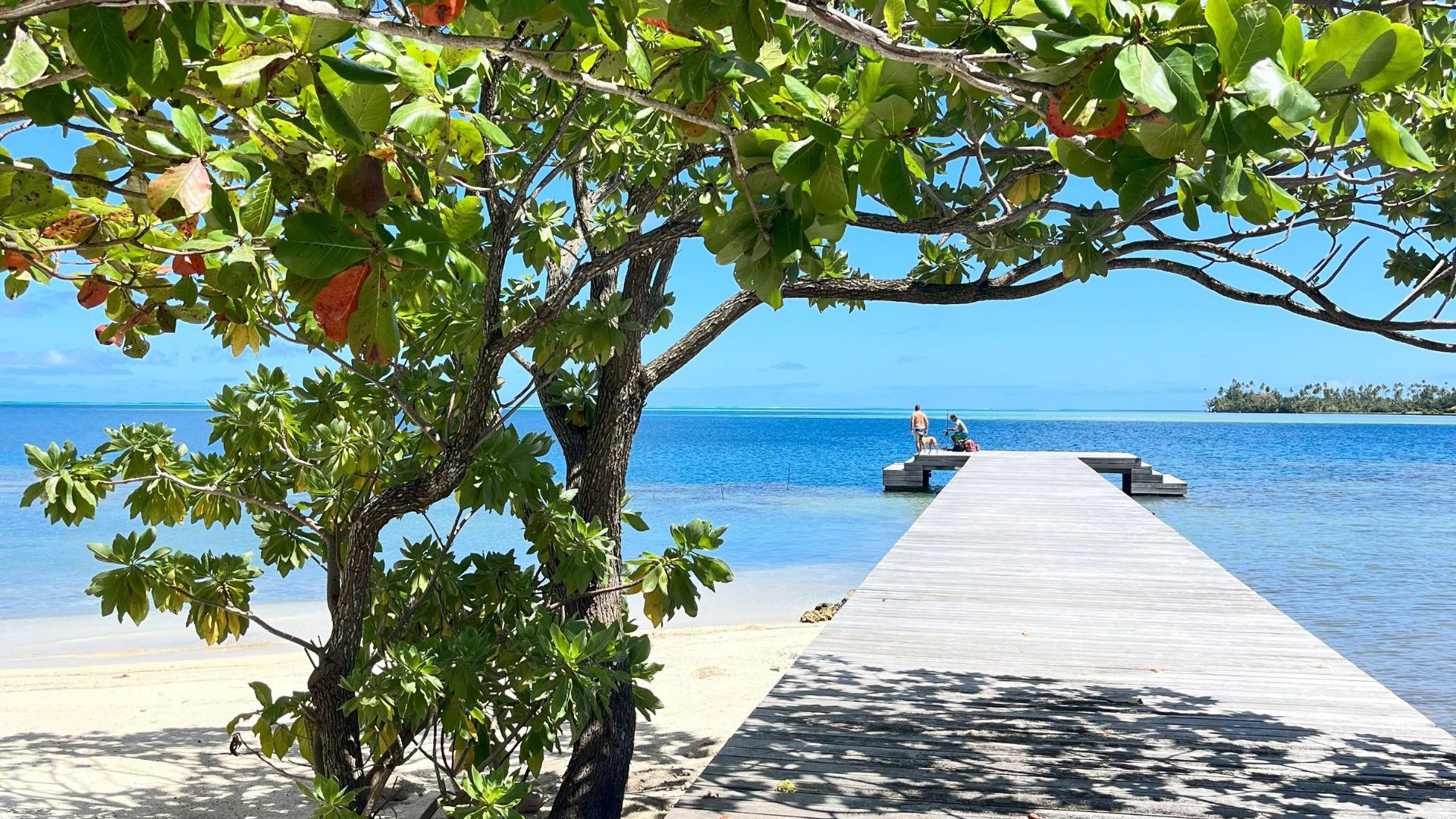 Apatoa Beach & Garden Villa 