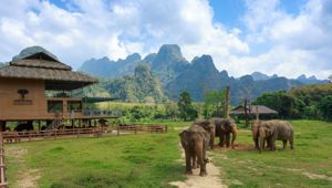 Elephant Hills: Jungle Safari