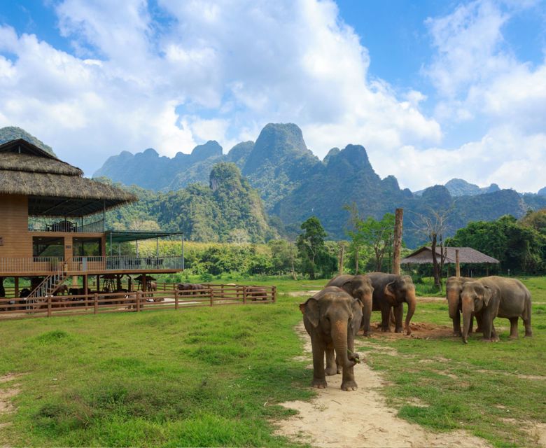 Elephant Hills: Jungle Safari