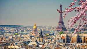 Eiffel Tower Blossoms Cityscape Paris