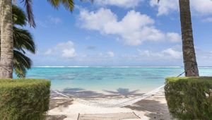 Motu Beachfront Art Villas - hammock