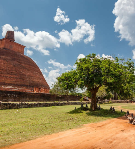 Anuradhapura