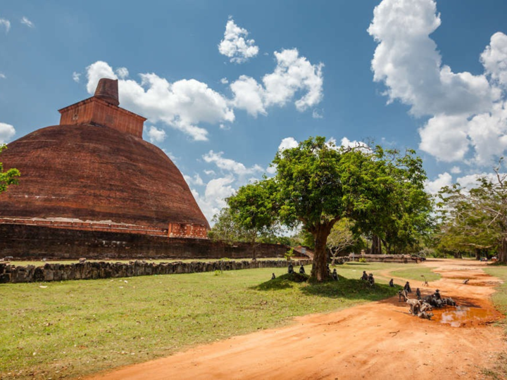 Anuradhapura