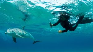 Sunway Mozambique Ponta do Ouro dolphin encounter 