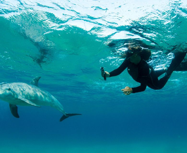 Sunway Mozambique Ponta do Ouro dolphin encounter 