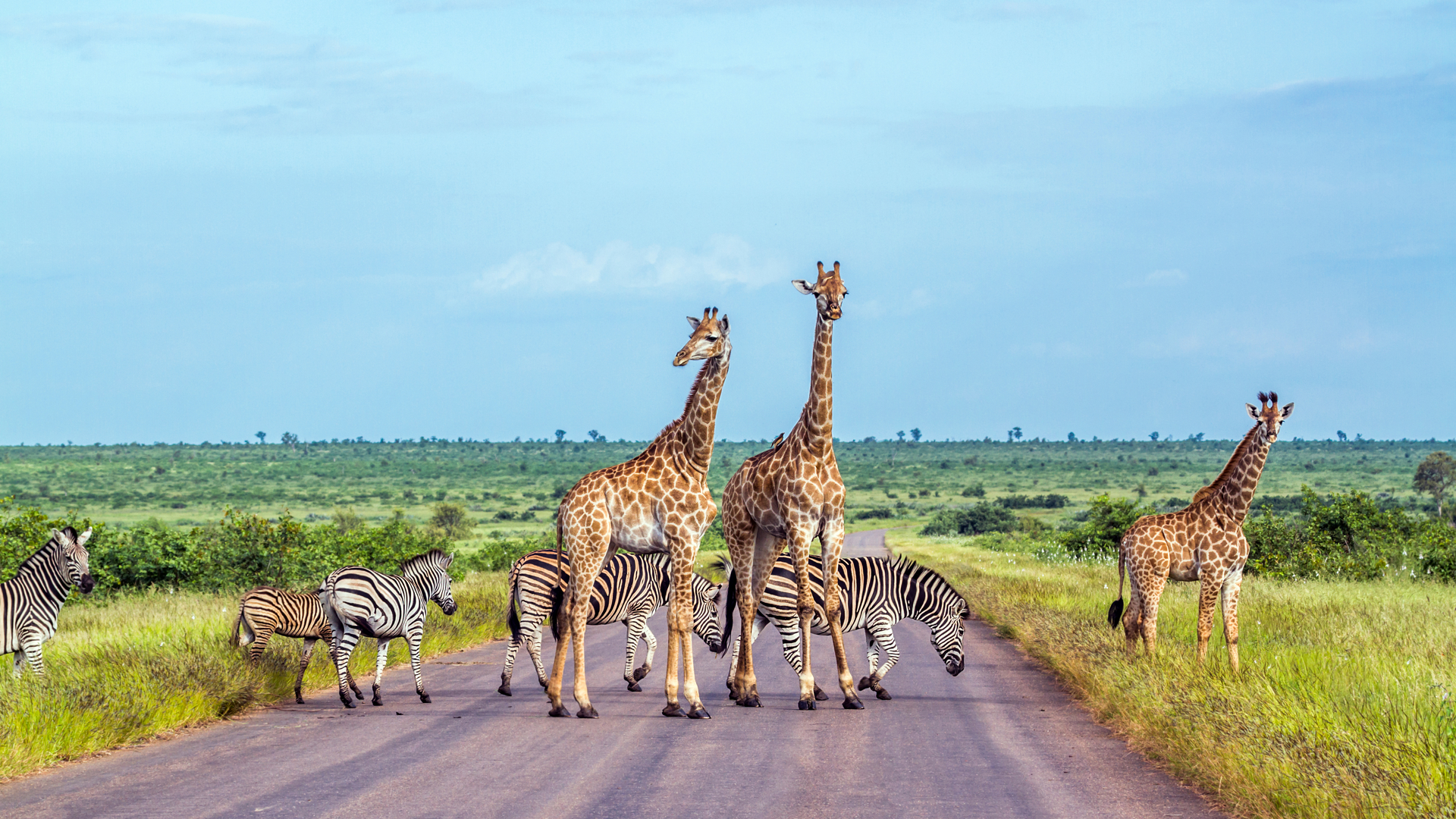 Kruger National Park