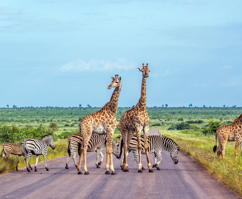 Kruger National Park