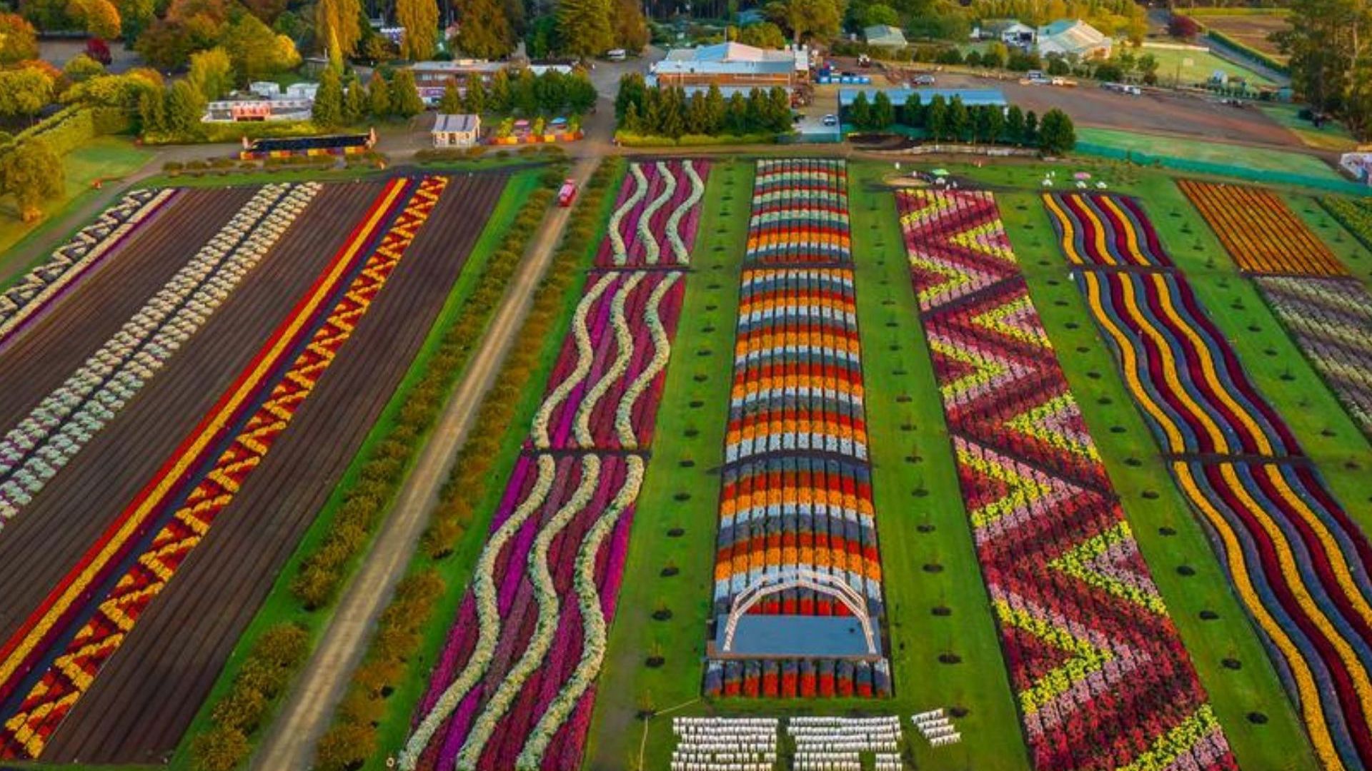 Kabloom Festival 1