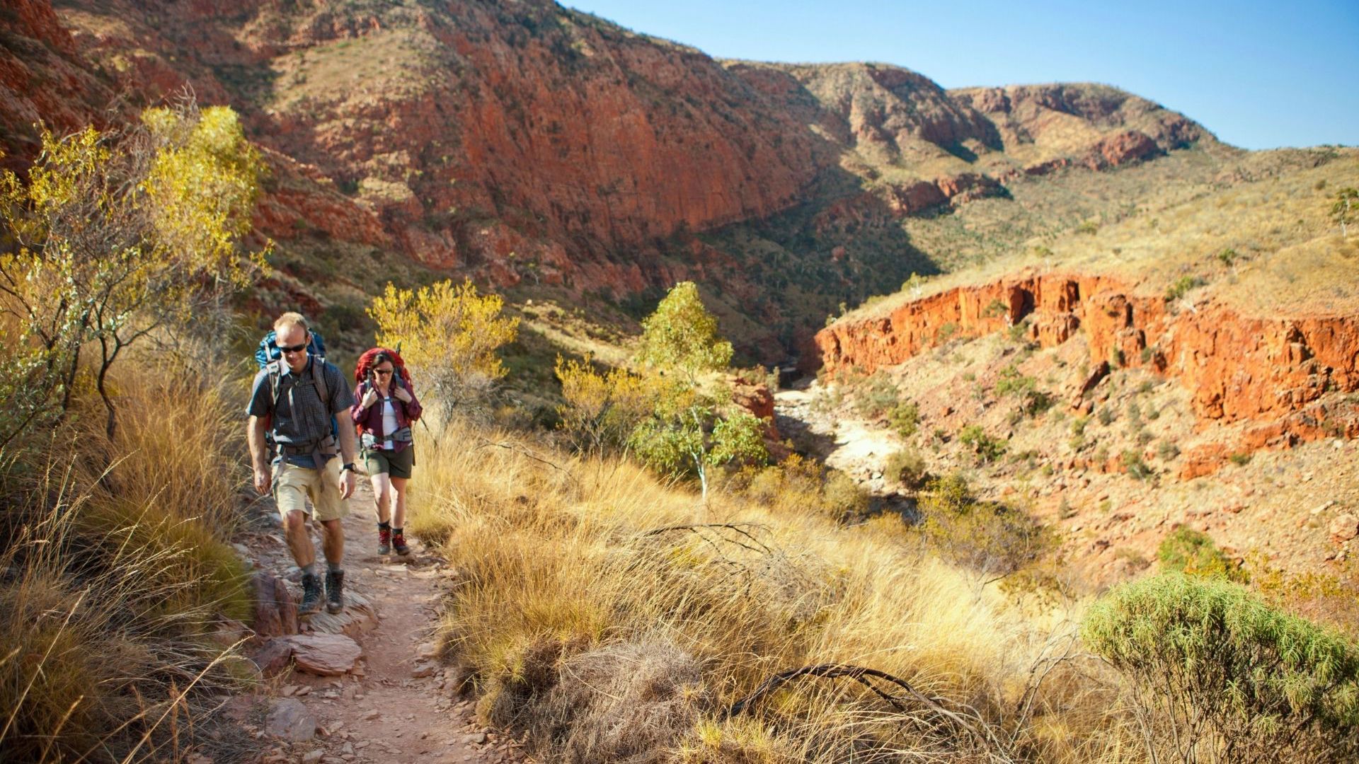 Walk the Larapinta Trail