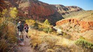 Walk the Larapinta Trail