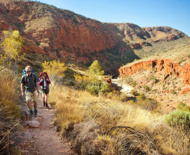Walk the Larapinta Trail