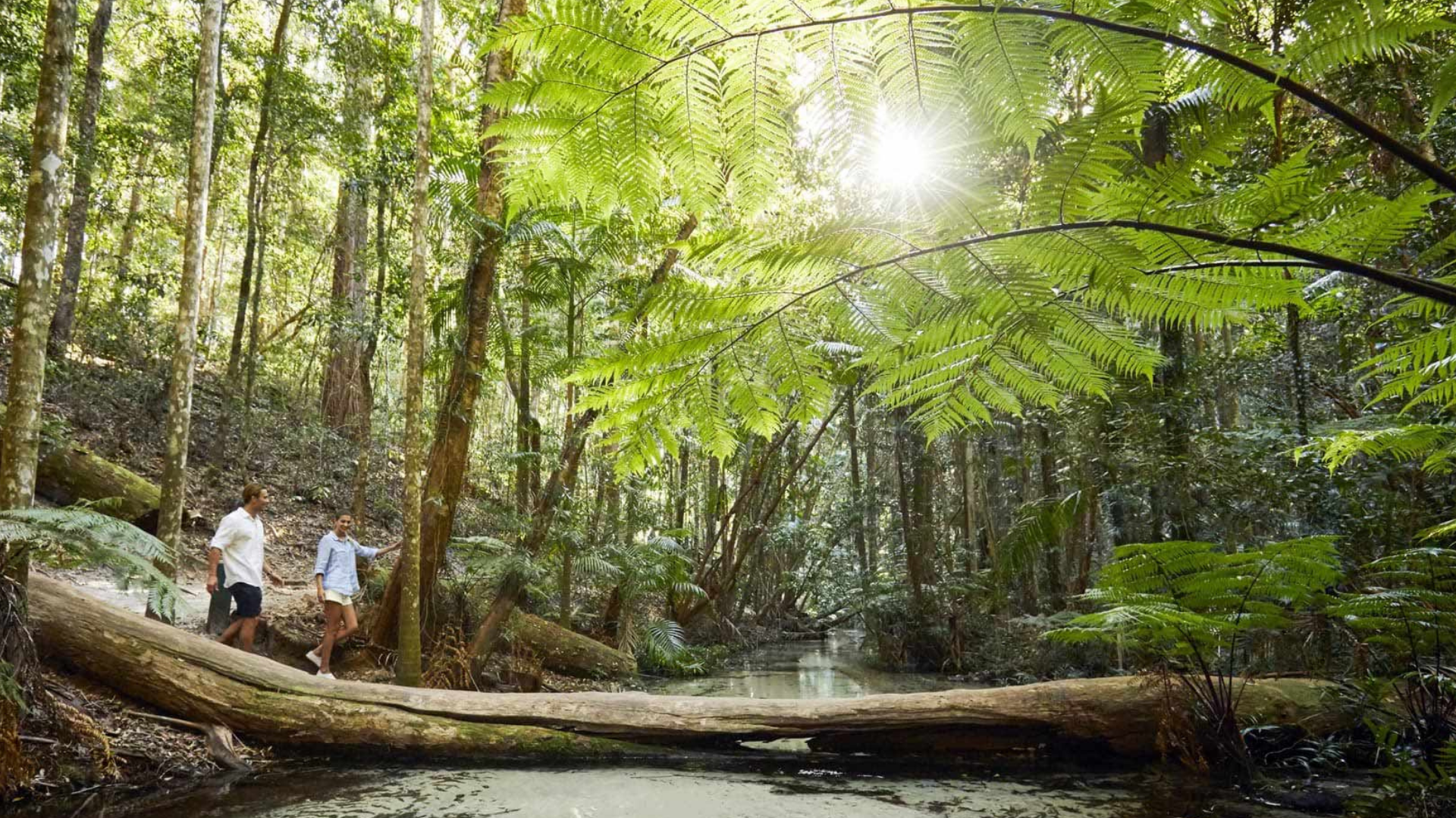 13 Day East Coast Island Escape - Exploring K'gari Island 