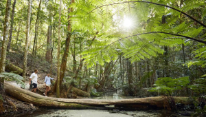 13 Day East Coast Island Escape - Exploring K'gari Island 