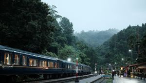 The Blue Jasmine - Stop in the mountains