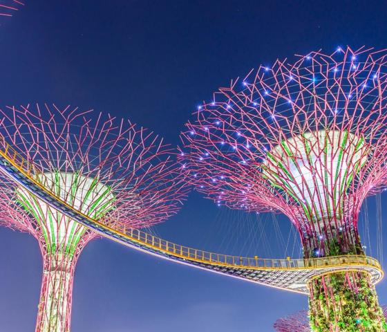 Singapore Gardens
