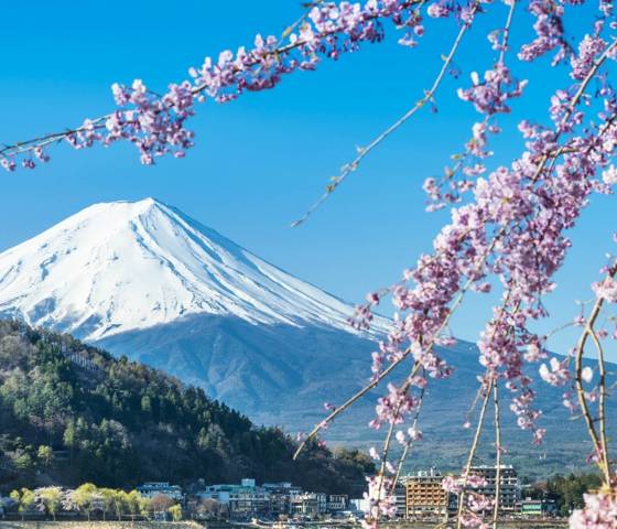  Lake Kawaguchi Mt Fuji