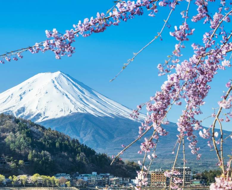  Lake Kawaguchi Mt Fuji