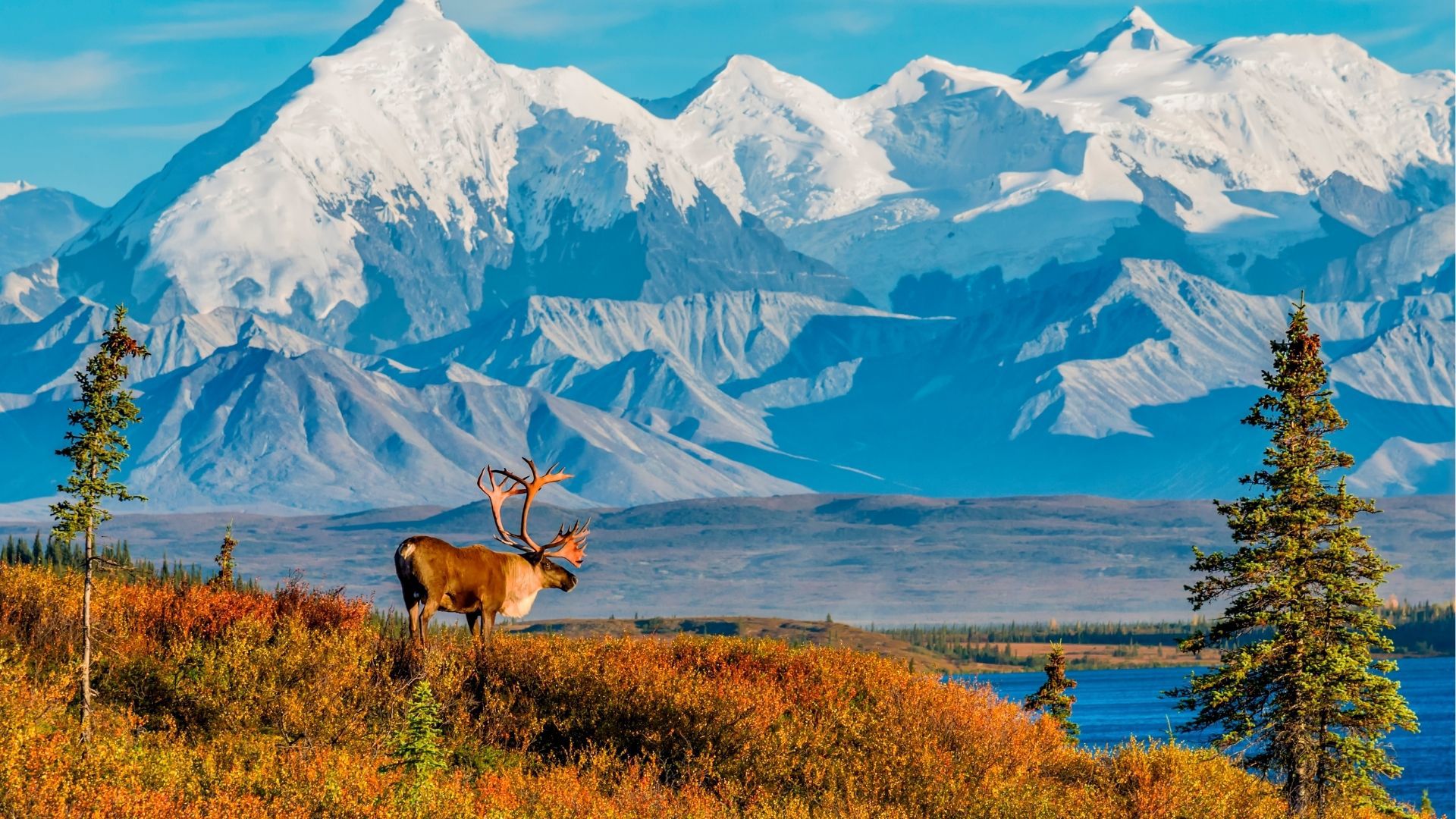Denali, Alaska