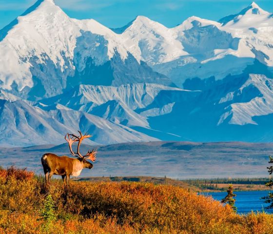 Denali, Alaska