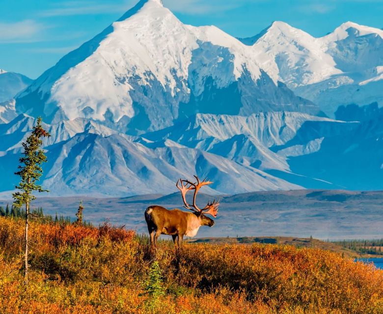 Denali, Alaska