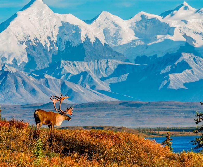 Denali, Alaska