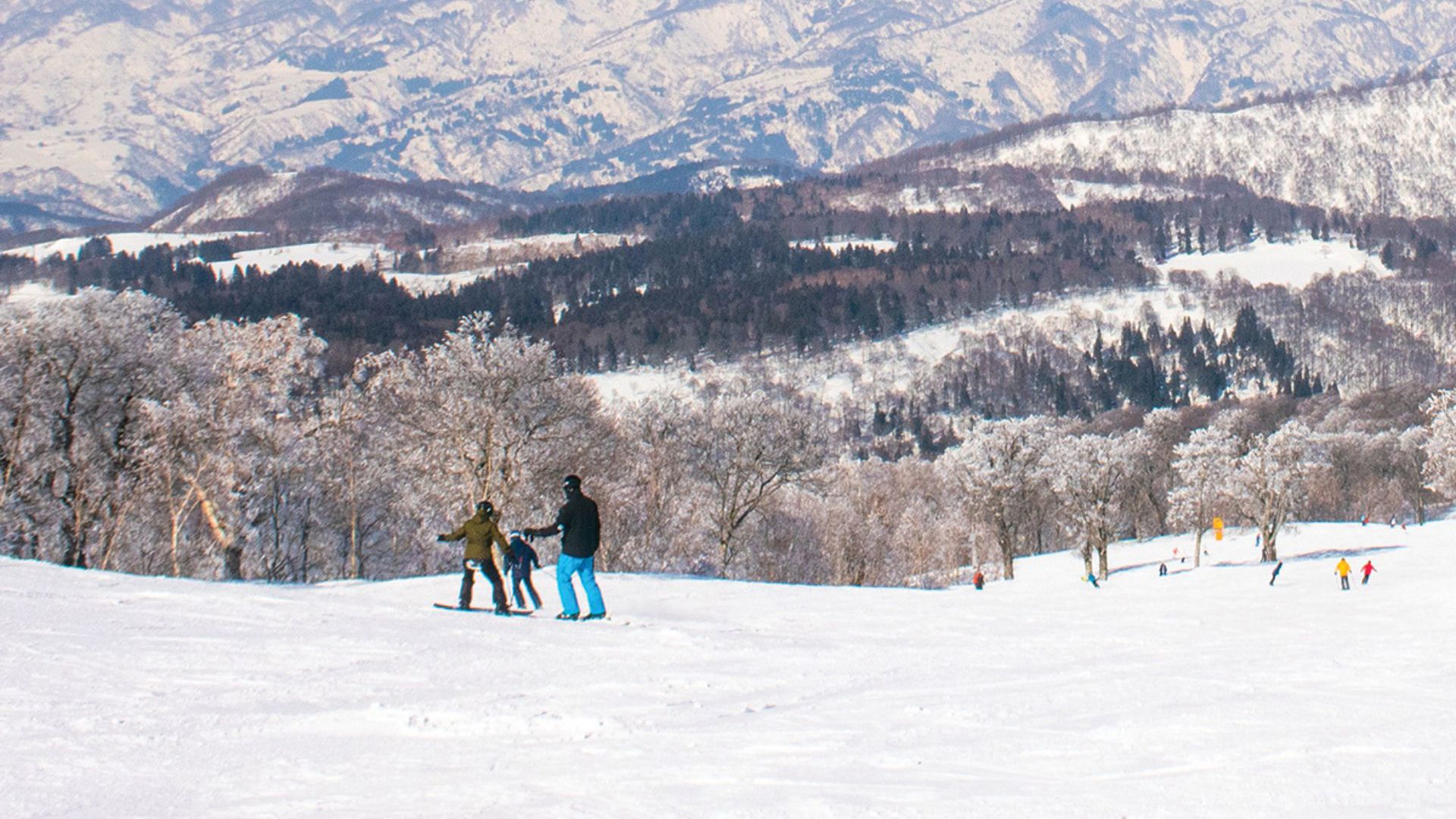 Nozawa Onsen Travel & Co