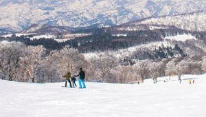 Nozawa Onsen Travel & Co