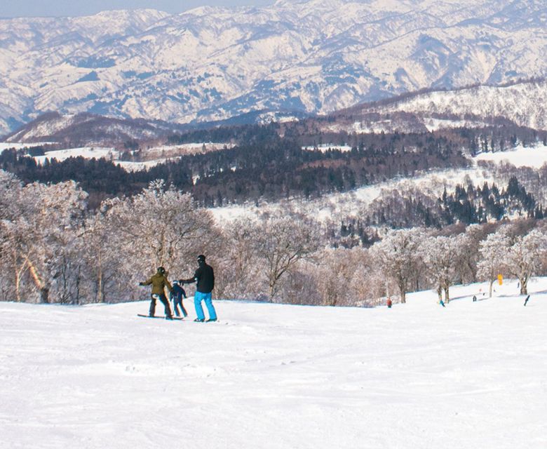 Nozawa Onsen Travel & Co
