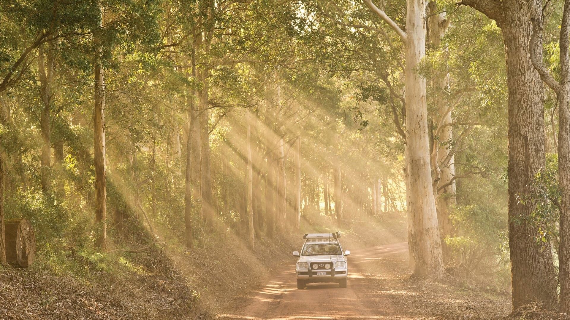 Southwest Edge Near Pemberton