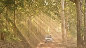 Southwest Edge Near Pemberton