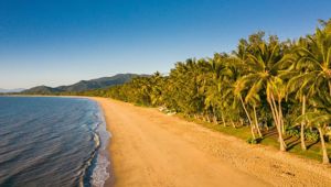 The Reef House - palm cove