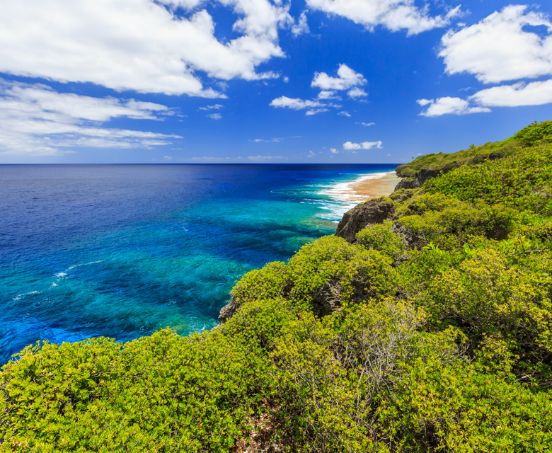 Niue – New Year Sale 2026