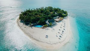 Beachcomber Island Resort