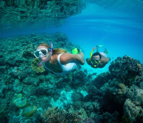 People snorkelling