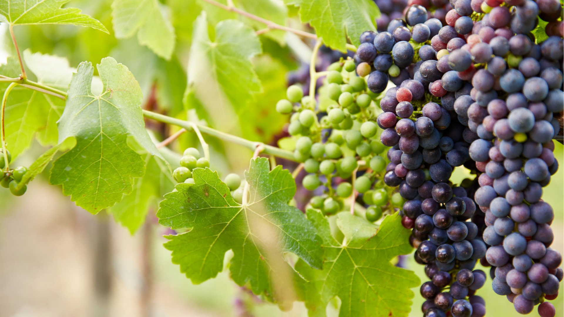 Melbourne, Australia