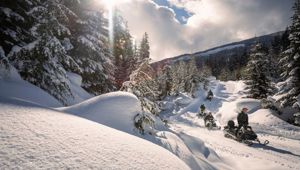 Whistler - Travel & CO