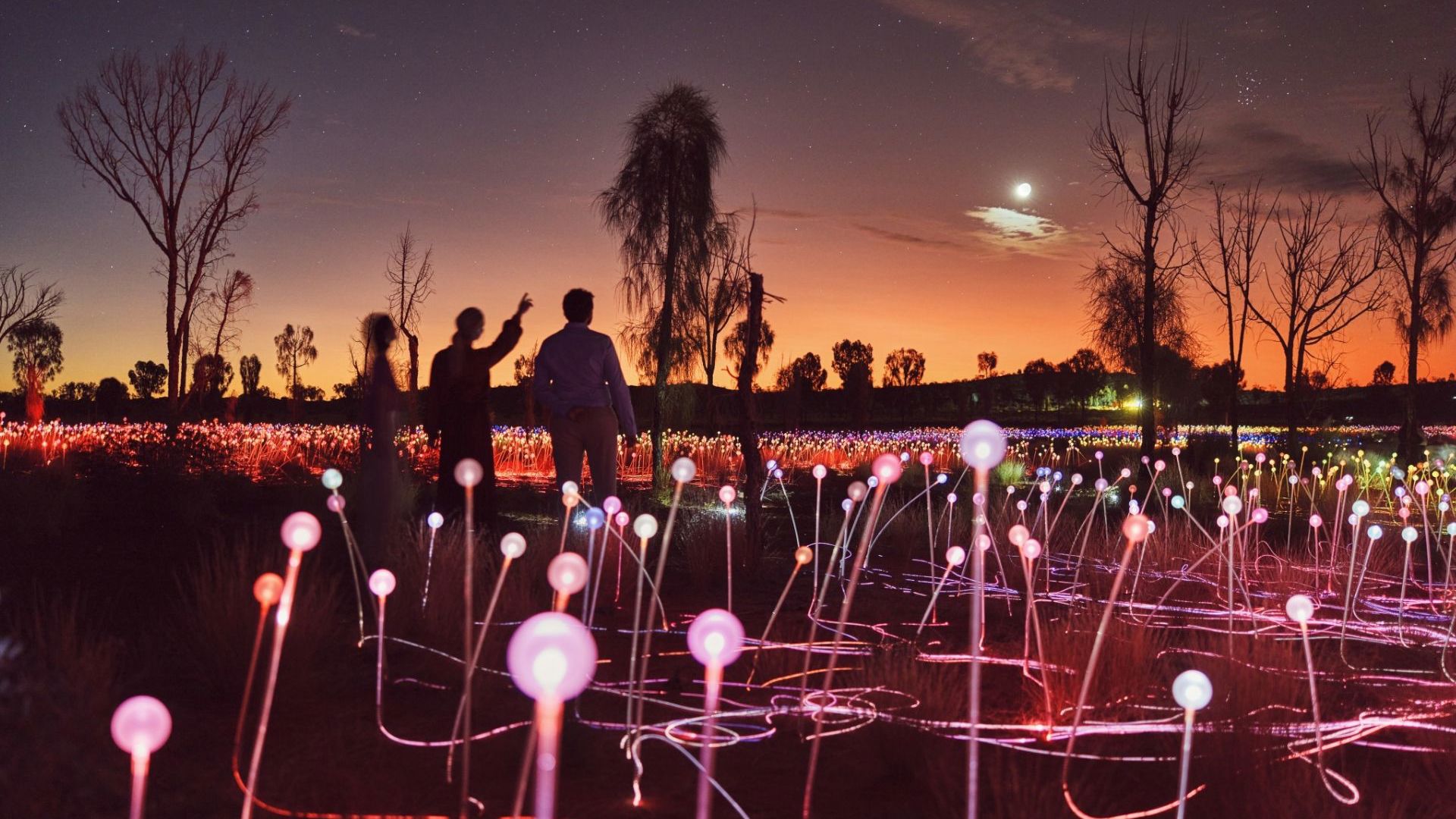 Field of Lights