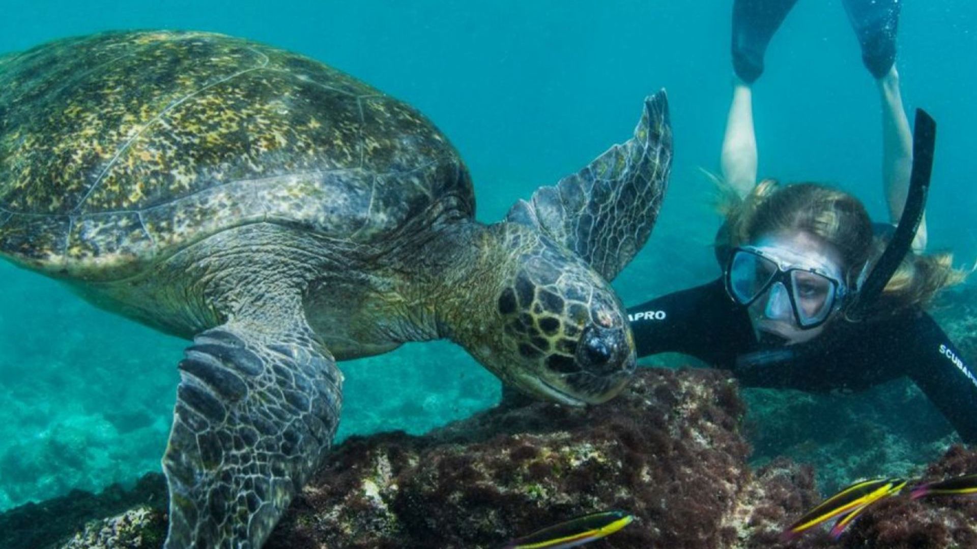 Machu Picchu and Galapagos Adventure with Viva Expeditions