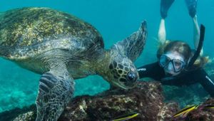 Machu Picchu and Galapagos Adventure with Viva Expeditions