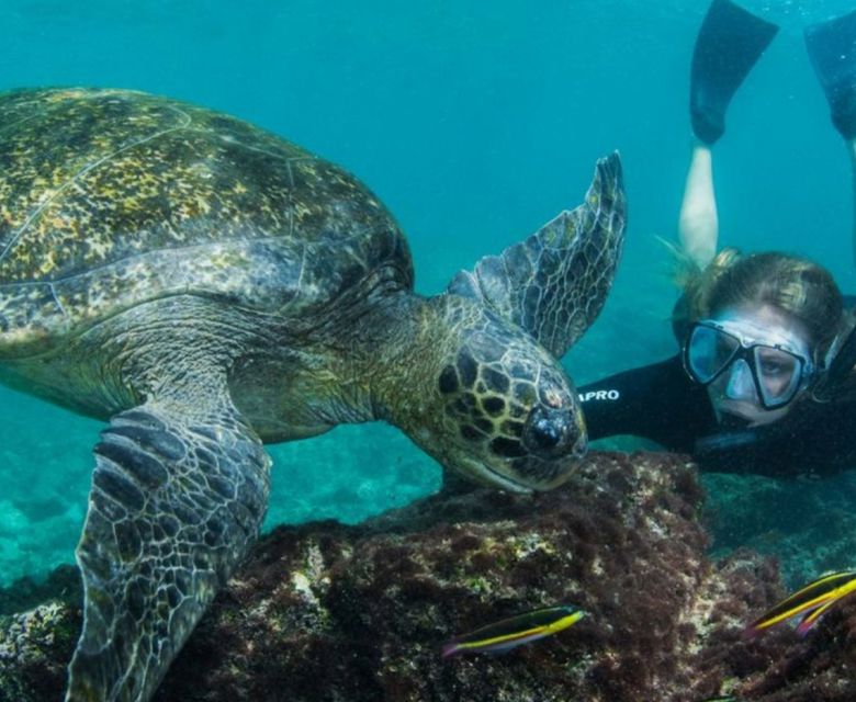 Machu Picchu and Galapagos Adventure with Viva Expeditions