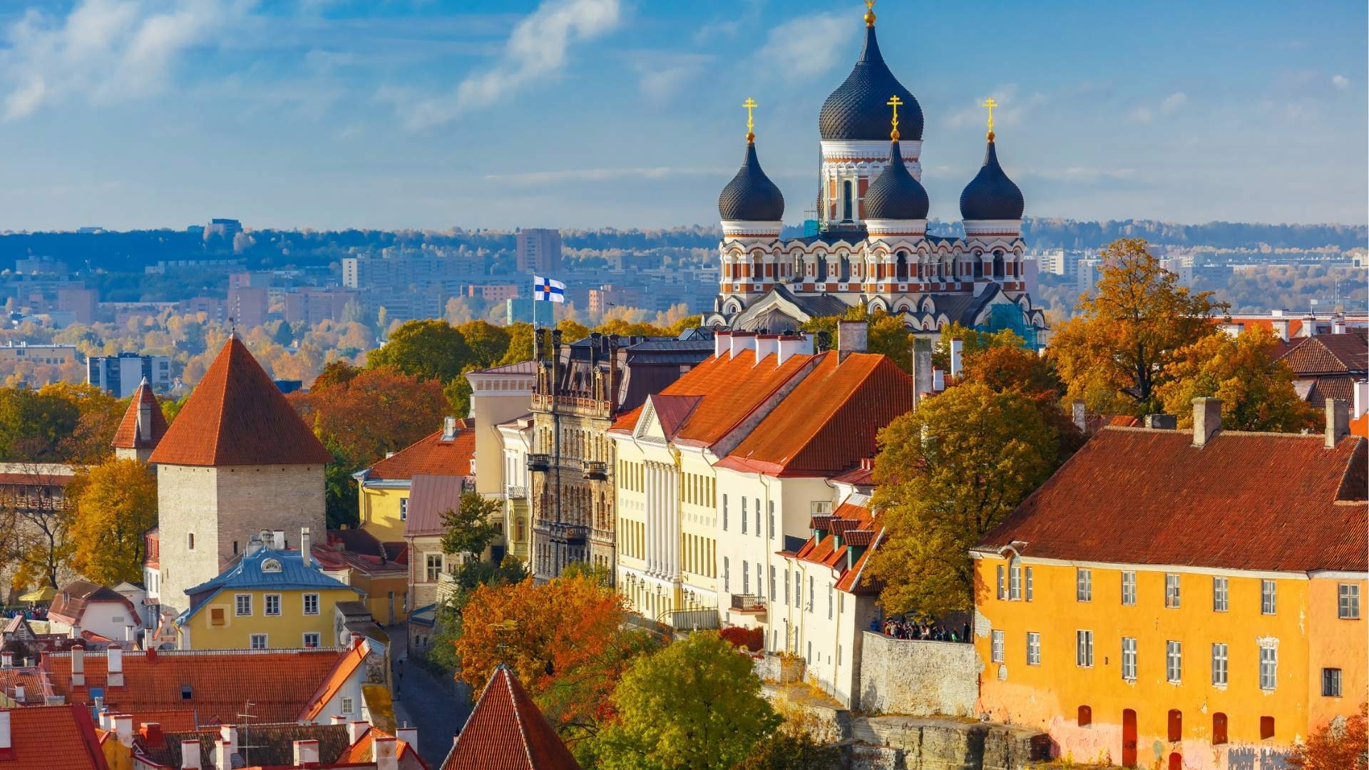 Cathedral Trees Rooftops Tallinn