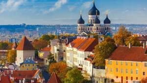 Cathedral Trees Rooftops Tallinn
