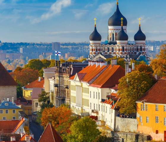 Cathedral Trees Rooftop Tallin © Viking Cruises