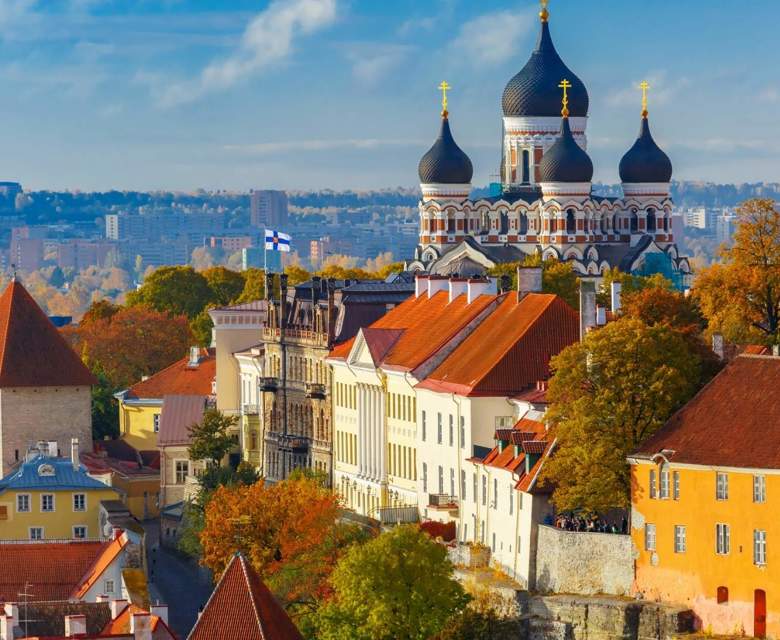 Cathedral Trees Rooftop Tallin © Viking Cruises