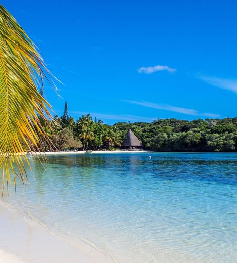 New Caledonia Isle Of Pines