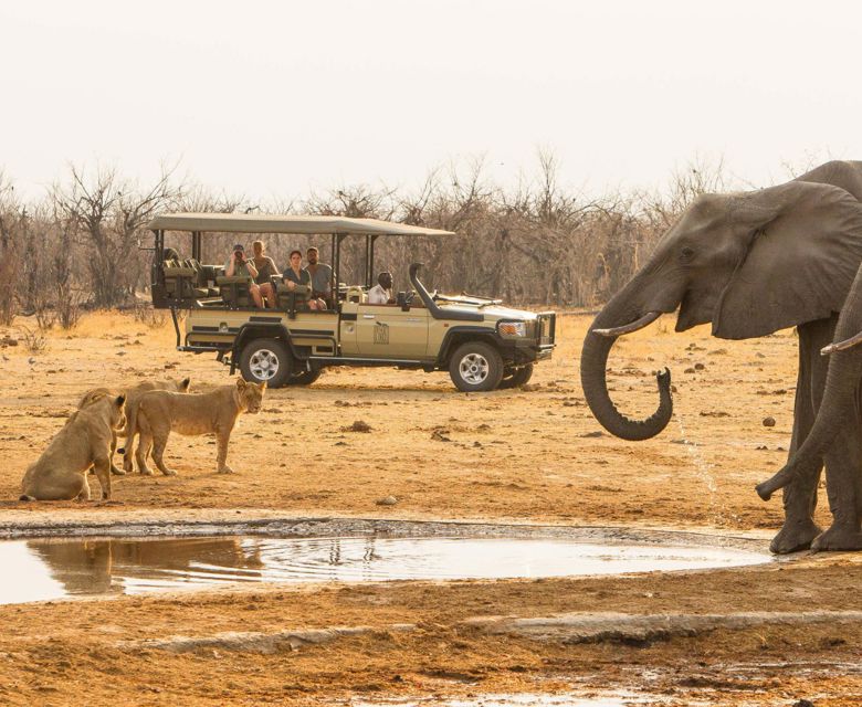 Waterfalls and Wildlife - Savute Game Drive